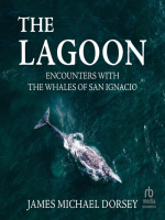The_Lagoon